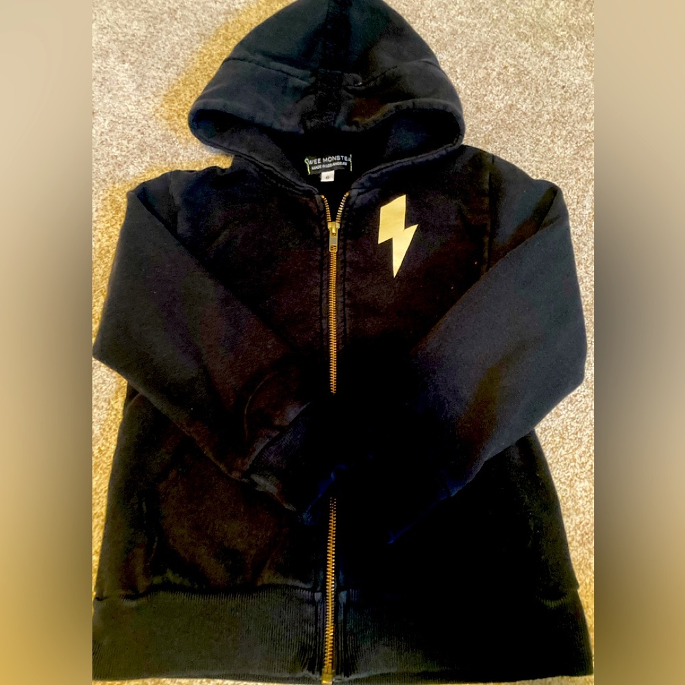 🍎Back to School🏫 Wee Monster Hoodie